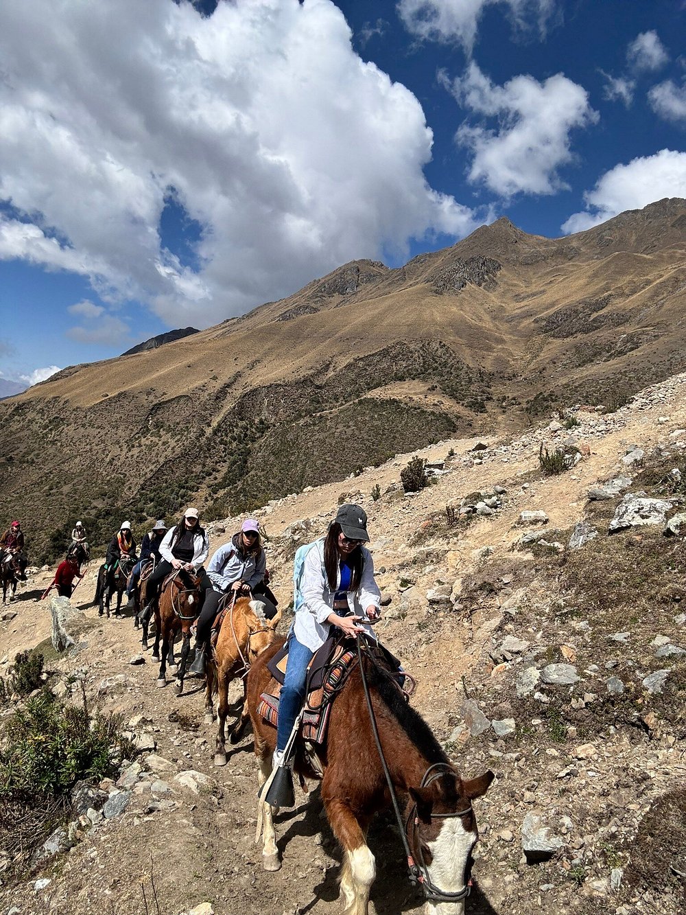 Caballos en la ruta a Humantay
