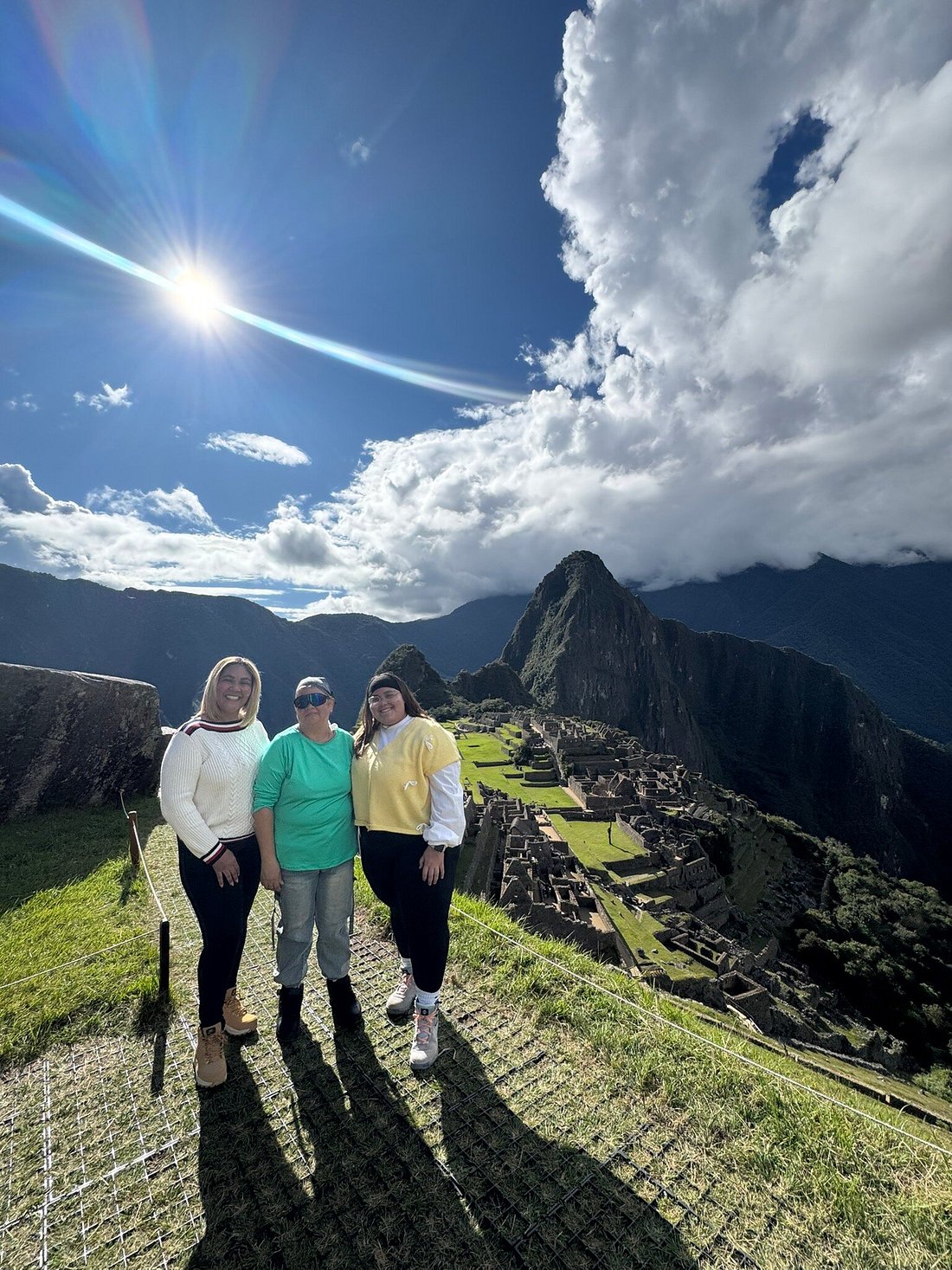 Llamas en Machu Picchu