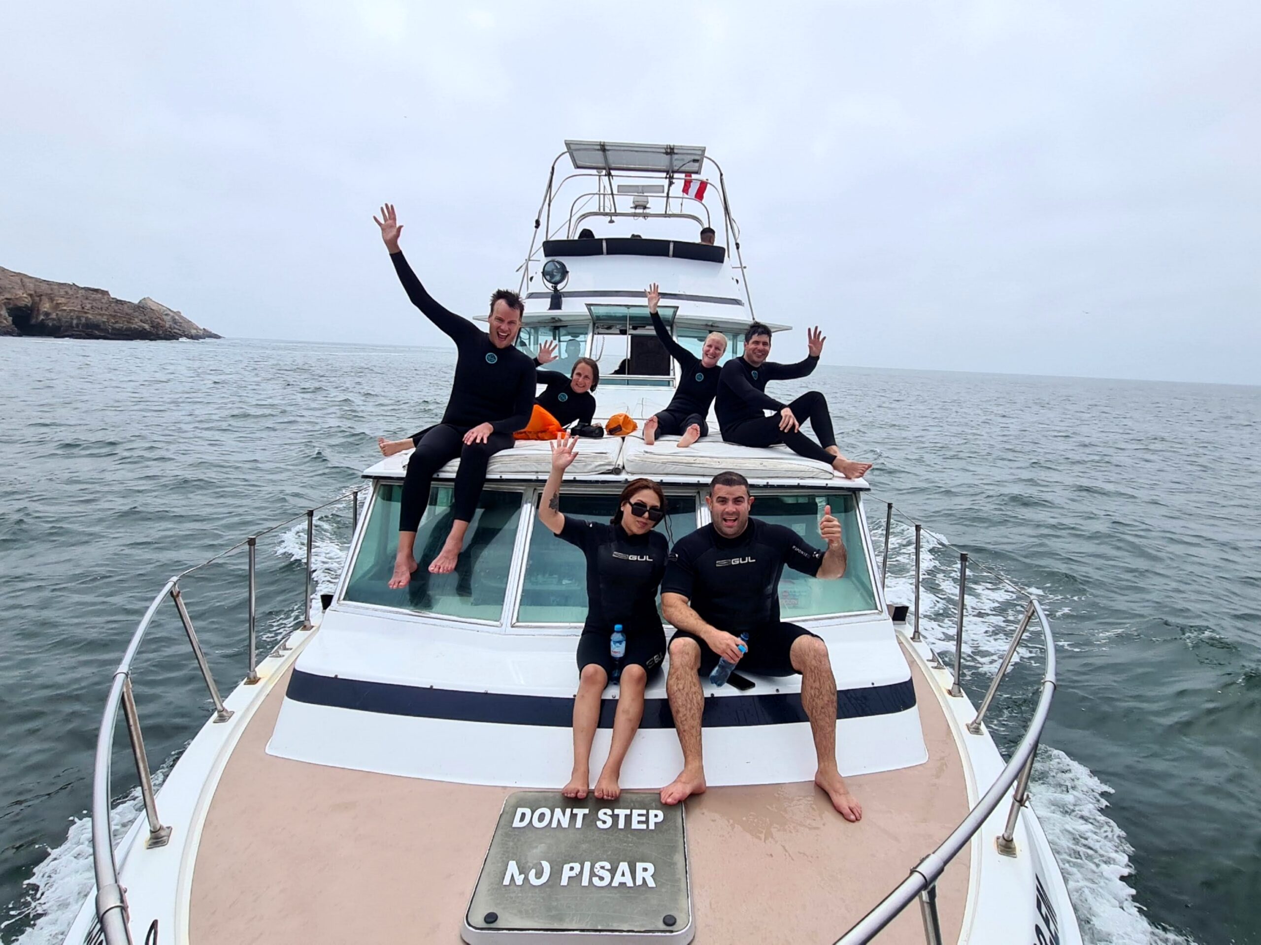 Lobos marinos en las Islas Palomino