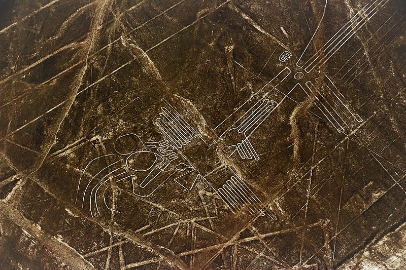 Figura del ave en las Líneas de Nazca desde el aire