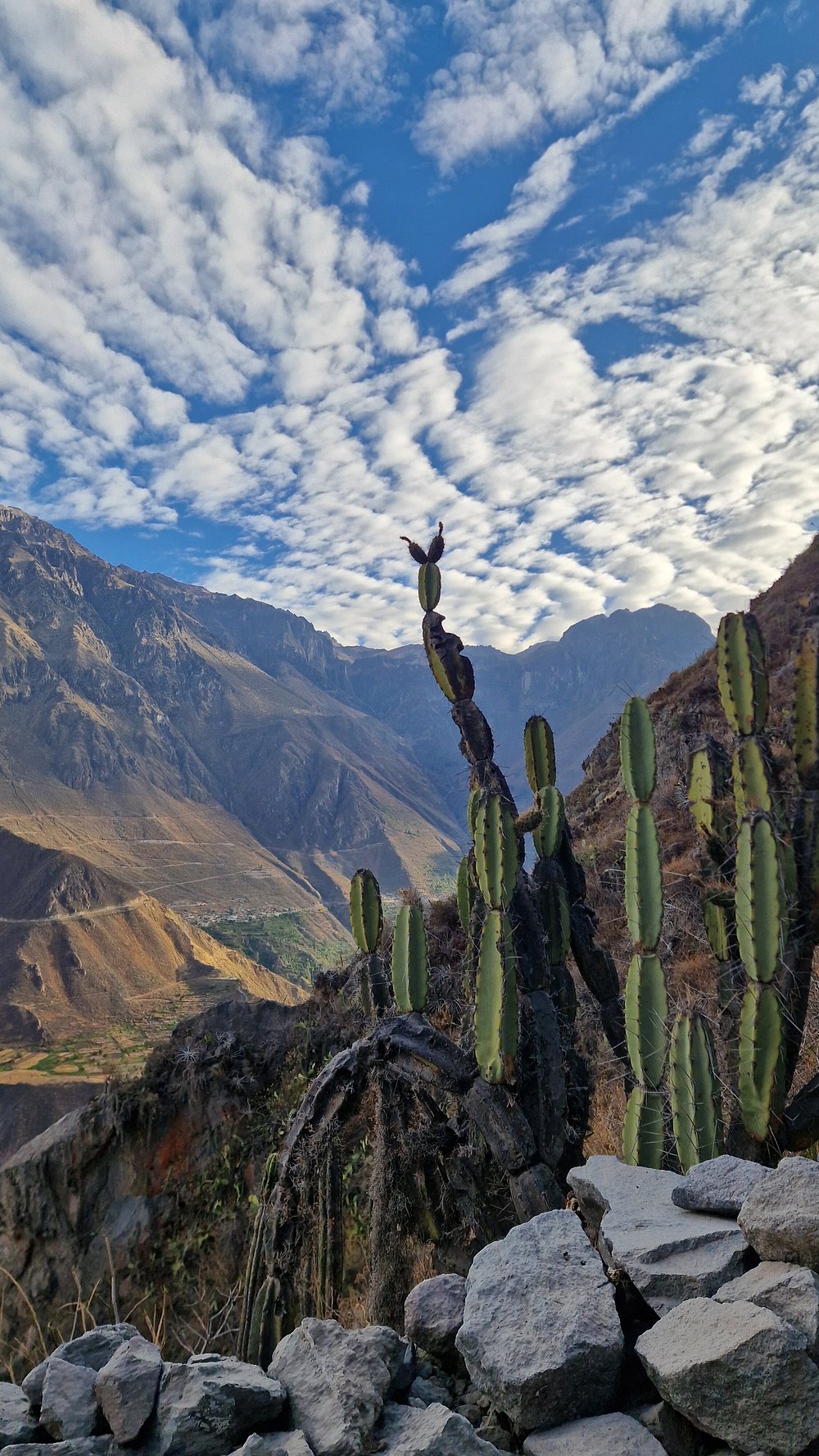 Cañón del Colca
