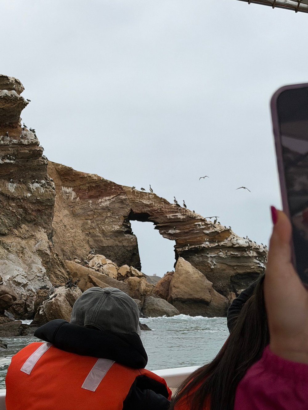 Aves marinas en las Islas Ballestas, Reserva de Paracas