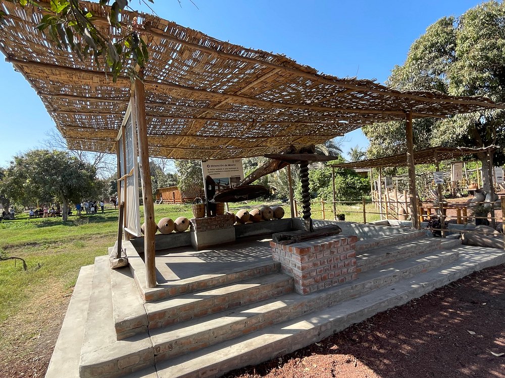 Viñedo tradicional en Ica, cuna del pisco peruano