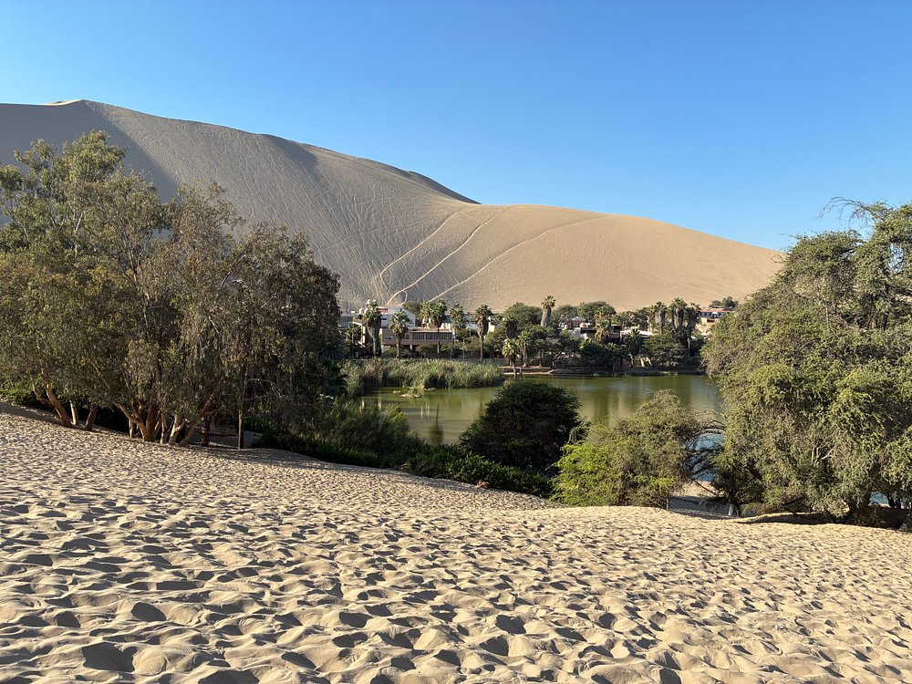 Oasis de la Huacachina, Ica
